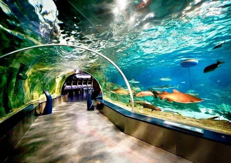 Antalya Aquarium